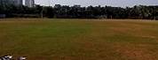 Cricket Nature Ground Mumbai