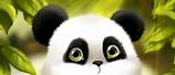 Cute Cartoon Panda Desktop Backgrounds