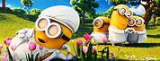 Cute Despicable Me Minions Wallpaper Desktop