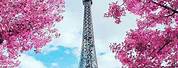 Cute Paris Wallpaper Eiffel Tower