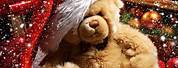 Cute Teddy Bear Backgrounds