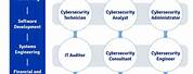 Cyber Security Career Path