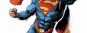 DC Superman Cartoon
