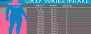 Daily Water Intake to Lose Weight