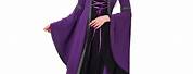 Dark Purple Medieval Dress Costume