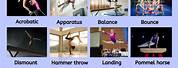 Different Types of Gymnastics Apparatus