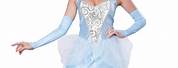 Disney Princess Cinderella Costume Adult