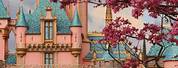 Disneyland Castle Aesthetic Landscape