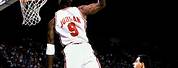 Dream Team Basketball Michael Jordan