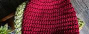 Easy Beginner Free Crochet Beanie Pattern