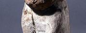 Egyptian Cat Mummy Head