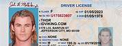 Fake Drivers License ID Card