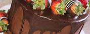 Fancy Chocolate Cake with Strawberries