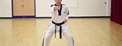 Fighting Stance Taekwondo High Kick