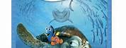 Finding Nemo Blu-ray DVD
