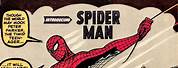 First Spider-Man Comic Book