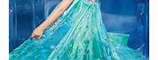 Frozen Fever Elsa New Dress