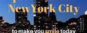 Funny Quotes About New York City