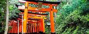 Fushimi Inari Shinto Shrine