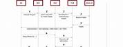 GSM Call Flow Diagram