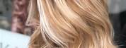Golden Honey Blonde Hair Color Highlights and Lowlights