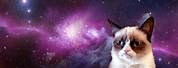 Grumpy Cat with Galaxy Background