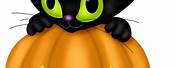 Halloween Black Cat and Pumpkin Clip Art