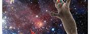 Happy Birthday Cat in Space Meme