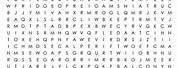 Hard Word Search Puzzles for Kids