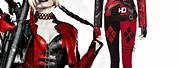 Harley Quinn Red Bat Costume
