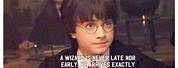 Harry Potter One Word Jokes