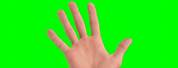Hello Hand. Emoji Greenscreen