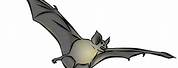 Hoary Bat Flying Clip Art