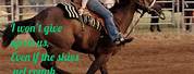 Horse Quotes Barrel Racing