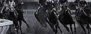 Horse Racing Wallpaper Black and White