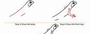 How to Draw a Green European Lizard
