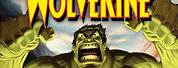 Hulk vs Wolverine DVD