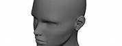 Human Head Model