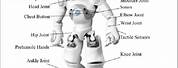 Humanoid Robot Drawing Internal Parts