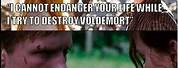 Hunger Games vs Harry Potter Memes