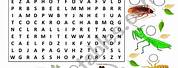Insect Word Search Worksheet