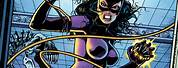 Jim Balent Catwoman Comic Book