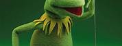 Kermit the Frog Puppet Jim Henson