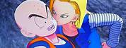Krillin X Android 18 Sp