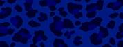 Leopard Print and Royal Blue Background