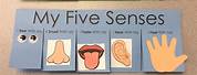 Lesson Plan of Senses for Kindergarten