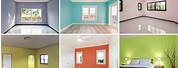 Light Wall Paint Design for Home