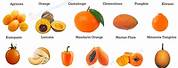 Little Orange Colour Fruit