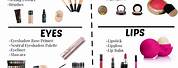 Makeup Essentials List for Beginners