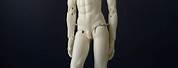 Male BJD Dolls Body Shape